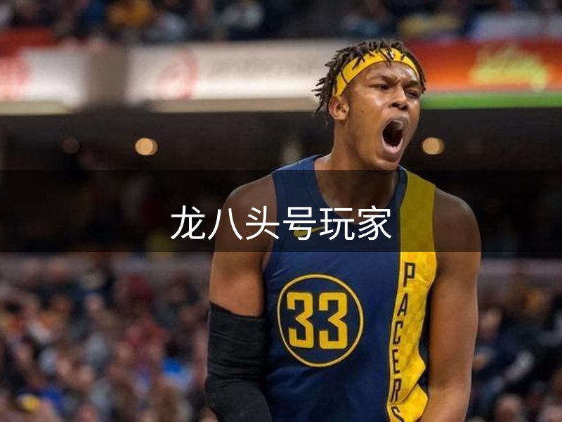 龙八头号玩家介绍